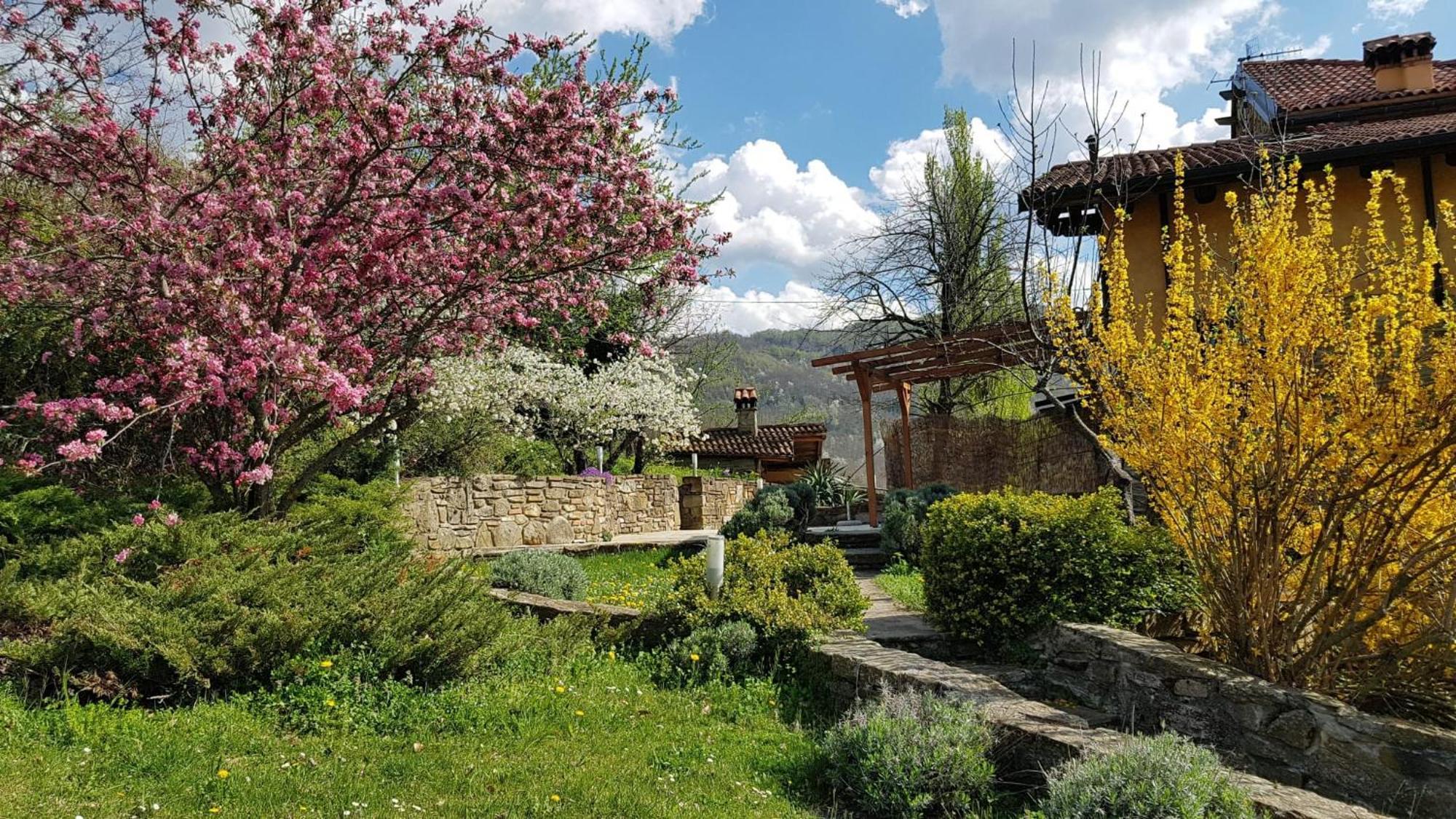 Agriturismo Fattoria Ca Di Sole San Benedetto Val di Sambro Bagian luar foto